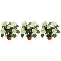 3x Kunstplanten hortensia plant wit/groen 36 cm -