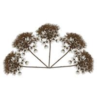 Bellatio Set van 5x stuks berenklauw / Heracleum kunstbloem 80 cm -