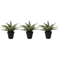 Bellatio Set van 3x stuks kunstplanten Agave grijs/groen in zwarte pot 19 cm -