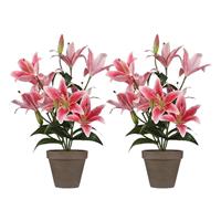 Shoppartners 2x Fuchsia roze Tigerlily/tijgerlelie kunstplanten 47 cm -