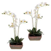 Set van 2x stuks witte orchidee Orchidaceae kunstplanten in terracotta pot 50 cm -