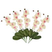 Bellatio Set van 5x stuks wit/Roze Orchidee/Phalaenopsis kunstplant takken 44 cm voor binnen -