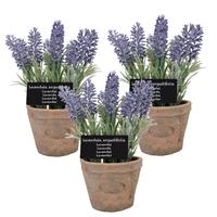 True to Nature 3x stuks kunstplanten lavendel in terracotta pot 23 cm -