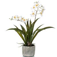 Witte orchidee Orchidaceae kunstplant in keramische pot 45 cm -