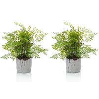 Emerald Set van 2x stuks groene kunstplanten varen 30 cm -