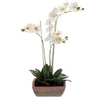 Witte orchidee Orchidaceae kunstplant in terracotta pot 50 cm -