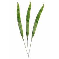 3x stuks kunstplant takken Gladioolblad bladgroen cm -