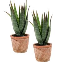 Set van 2x stuks Aloe Vera kunstplanten in terracotta pot 23 cm -