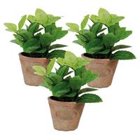 True to Nature 3x stuks kunstplanten muntkruiden in terracotta pot 16 cm -