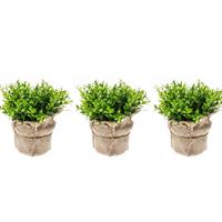 Bellatio Set van 3x Kunstplanten tuinkers groen in jute pot 16 cm -