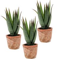 Set van 3x stuks Aloe Vera kunstplanten in terracotta pot 23 cm -