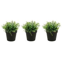 Bellatio Set van 3x stuks kunstplanten eucalyptus groen in zwarte potjes 20 cm -