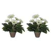 Mica Decorations 2x stuks gerbera kunstplanten wit in keramiek pot H35 cm -