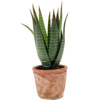 Aloe Vera kunstplant in terracotta pot 23 cm -