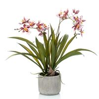 Bordeaux rode orchidee Orchidaceae kunstplant in keramische pot 45 cm -