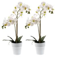 Set van 2x stuks witte orchidee Orchidaceae kunstplanten in kunststof pot 65 cm -