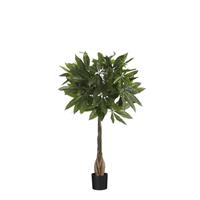 Mica Decorations Pachira Kunstplant  H80 x Ã60 cm  Plastic pot  Groen