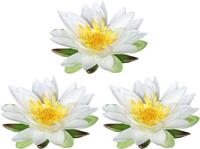 Creativ green Kunstbloem Lotusblüte set van 3 (3 stuks)
