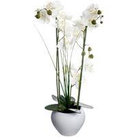 ATMOSPHERA KÃ¼nstliche Orchidee im Keramiktopf, geschmackvolles Blumenarrangement fÃ¼r die Heimdekoration