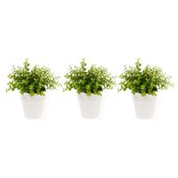 Bellatio Set van 3x stuks kunstplanten eucalyptus groen in witte pot 22 cm -