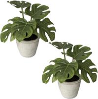 Creativ Green Künstliche Zimmerpflanze Blattpflanze Splitphilodendron, (2 St.), im Paperpot