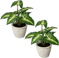 Creativ Green Künstliche Zimmerpflanze Blattpflanze Syngonium, (2 St.), im Zementtopf, 2er Set