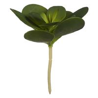 BigBuy Home Dekorationspflanze kreisförmig Laken (16 x 25 x 16	 cm)