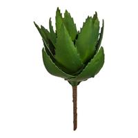 BigBuy Home Dekorationspflanze Aloe Vera (14 x 23 x 14 cm)