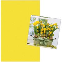 Duni Pasen tafeldecoratie set geel tafelkleed en 20x paas thema servetten met narcissen bloemen print -
