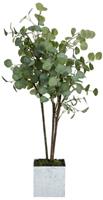 Schneider Kunstpflanze »Eukalyptus«, , Höhe 120 cm, Inklusive Übertopf