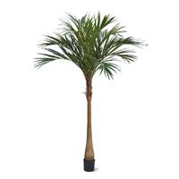 Majesty kunstpalm x10 YG-Trunk 225cm