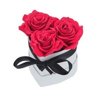 RELAXDAYS Weiße Rosenbox mit 3 Rosen rot/weiß