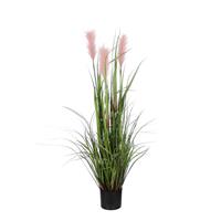 Mica Decorations Pluimgras Kunstplant  H120 x Ø45 cm  Roze