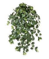 Hedera Gala kunst hangplant 75cm - groen