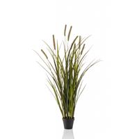 Kunstplant Grass cattails Groen