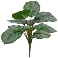 Calathea Orbifolia kunstplant 30cm - groen/grijs