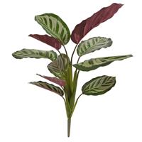 Calathea red Roseopicta bush kunstplant 45cm