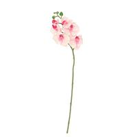 Dekoria Kunstbloem Orchidee light pink 65cm