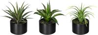 Creativ green Künstliche Zimmerpflanze "Set aus Aloe, Agave und Tillandsie", im Keramiktopf, 3er Set