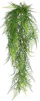 Creativ green Kunstplant Hanger Asparagus plumosus