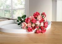 HOME Living Kunstpflanzen Rose Blumentöpfe rosa/rot