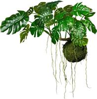 Creativ green Kunstpflanze »Splitphilodendron« Splitphilodendron, , Höhe 80 cm