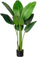Creativ green Künstliche Zimmerpflanze »Strelitzia« Strelitzia, , Höhe 120 cm
