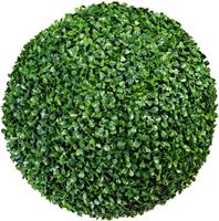 Creativ green Kunstpflanze »Buchsbaumkugel« Buchsbaum, , Höhe 38 cm, im 2er Set