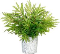 Creativ green Kunstpflanze »Farn« Farn, , Höhe 36 cm