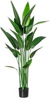 Creativ green Künstliche Zimmerpflanze »Wassercanna« Wassercanna, , Höhe 140 cm