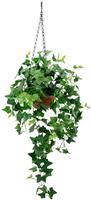 My Home Kunstpflanze »Efeu«, , Höhe 96 cm, Im Topf, mit Hängeampel, künstlicher Efeuhänger