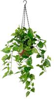 My Home Kunstpflanze »Efeutute«, , Höhe 96 cm, Im Topf, mit Hängeampel, künstliche Hängepflanze