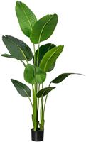 Creativ green Künstliche Zimmerpflanze »Strelitzia« Strelitzia, , Höhe 160 cm