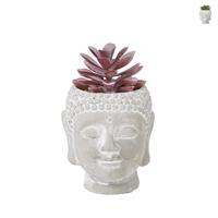 Xenos Kunstplant in boeddha hoofd - diverse varianten - 8,5x8x13 cm